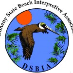 New DSBIA Logo