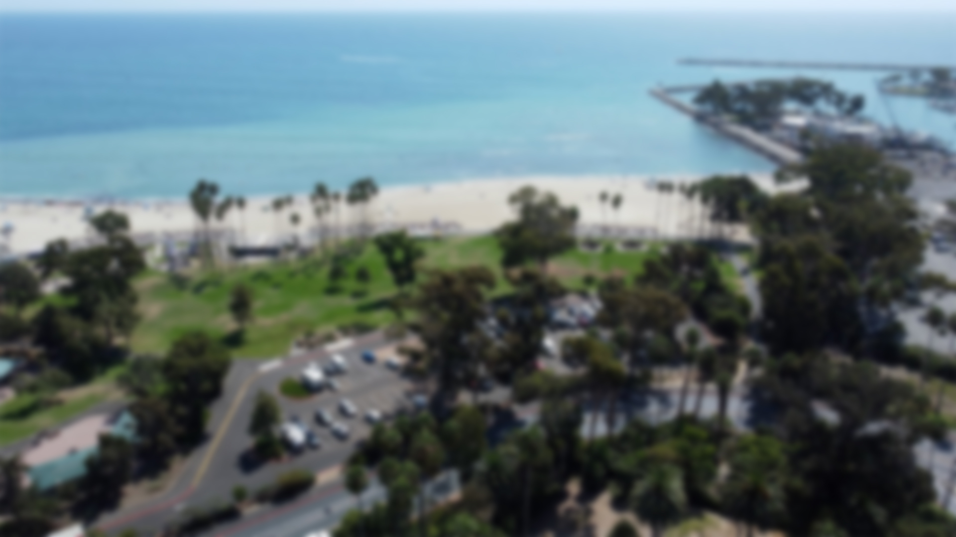 Doheny Surf & Art Festival at Doheny State Beach
