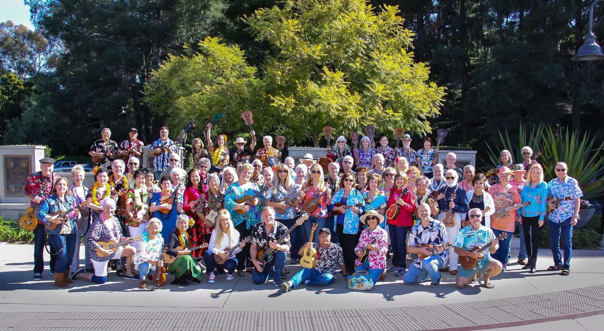 Aloha Strummers Logo